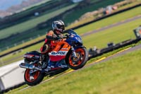PJ-Motorsport-Photography-2018;anglesey-no-limits-trackday;anglesey-photographs;anglesey-trackday-photographs;enduro-digital-images;event-digital-images;eventdigitalimages;no-limits-trackdays;peter-wileman-photography;racing-digital-images;trac-mon;trackday-digital-images;trackday-photos;ty-croes