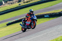 PJ-Motorsport-Photography-2018;anglesey-no-limits-trackday;anglesey-photographs;anglesey-trackday-photographs;enduro-digital-images;event-digital-images;eventdigitalimages;no-limits-trackdays;peter-wileman-photography;racing-digital-images;trac-mon;trackday-digital-images;trackday-photos;ty-croes