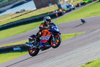 PJ-Motorsport-Photography-2018;anglesey-no-limits-trackday;anglesey-photographs;anglesey-trackday-photographs;enduro-digital-images;event-digital-images;eventdigitalimages;no-limits-trackdays;peter-wileman-photography;racing-digital-images;trac-mon;trackday-digital-images;trackday-photos;ty-croes