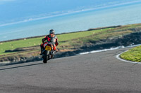 PJ-Motorsport-Photography-2018;anglesey-no-limits-trackday;anglesey-photographs;anglesey-trackday-photographs;enduro-digital-images;event-digital-images;eventdigitalimages;no-limits-trackdays;peter-wileman-photography;racing-digital-images;trac-mon;trackday-digital-images;trackday-photos;ty-croes