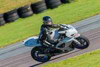 PJ-Motorsport;anglesey-no-limits-trackday;anglesey-photographs;anglesey-trackday-photographs;enduro-digital-images;event-digital-images;eventdigitalimages;no-limits-trackdays;peter-wileman-photography;racing-digital-images;trac-mon;trackday-digital-images;trackday-photos;ty-croes