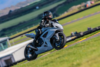 PJ-Motorsport-Photography-2018;anglesey-no-limits-trackday;anglesey-photographs;anglesey-trackday-photographs;enduro-digital-images;event-digital-images;eventdigitalimages;no-limits-trackdays;peter-wileman-photography;racing-digital-images;trac-mon;trackday-digital-images;trackday-photos;ty-croes