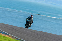 PJ-Motorsport-Photography-2018;anglesey-no-limits-trackday;anglesey-photographs;anglesey-trackday-photographs;enduro-digital-images;event-digital-images;eventdigitalimages;no-limits-trackdays;peter-wileman-photography;racing-digital-images;trac-mon;trackday-digital-images;trackday-photos;ty-croes