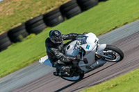 PJ-Motorsport;anglesey-no-limits-trackday;anglesey-photographs;anglesey-trackday-photographs;enduro-digital-images;event-digital-images;eventdigitalimages;no-limits-trackdays;peter-wileman-photography;racing-digital-images;trac-mon;trackday-digital-images;trackday-photos;ty-croes