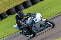 PJ-Motorsport;anglesey-no-limits-trackday;anglesey-photographs;anglesey-trackday-photographs;enduro-digital-images;event-digital-images;eventdigitalimages;no-limits-trackdays;peter-wileman-photography;racing-digital-images;trac-mon;trackday-digital-images;trackday-photos;ty-croes