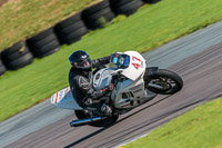 PJ-Motorsport;anglesey-no-limits-trackday;anglesey-photographs;anglesey-trackday-photographs;enduro-digital-images;event-digital-images;eventdigitalimages;no-limits-trackdays;peter-wileman-photography;racing-digital-images;trac-mon;trackday-digital-images;trackday-photos;ty-croes