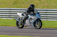 PJ-Motorsport;anglesey-no-limits-trackday;anglesey-photographs;anglesey-trackday-photographs;enduro-digital-images;event-digital-images;eventdigitalimages;no-limits-trackdays;peter-wileman-photography;racing-digital-images;trac-mon;trackday-digital-images;trackday-photos;ty-croes