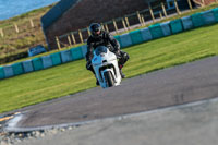 PJ-Motorsport-Photography-2018;anglesey-no-limits-trackday;anglesey-photographs;anglesey-trackday-photographs;enduro-digital-images;event-digital-images;eventdigitalimages;no-limits-trackdays;peter-wileman-photography;racing-digital-images;trac-mon;trackday-digital-images;trackday-photos;ty-croes