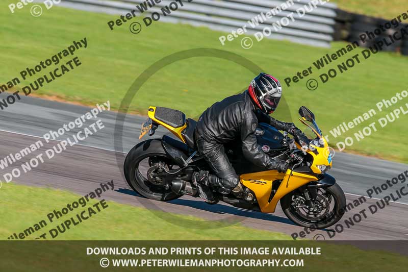 PJ Motorsport;anglesey no limits trackday;anglesey photographs;anglesey trackday photographs;enduro digital images;event digital images;eventdigitalimages;no limits trackdays;peter wileman photography;racing digital images;trac mon;trackday digital images;trackday photos;ty croes
