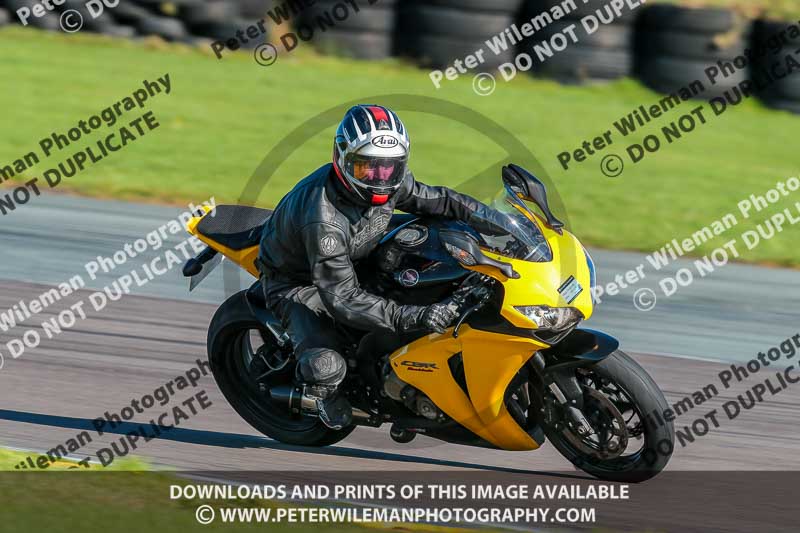 PJ Motorsport;anglesey no limits trackday;anglesey photographs;anglesey trackday photographs;enduro digital images;event digital images;eventdigitalimages;no limits trackdays;peter wileman photography;racing digital images;trac mon;trackday digital images;trackday photos;ty croes