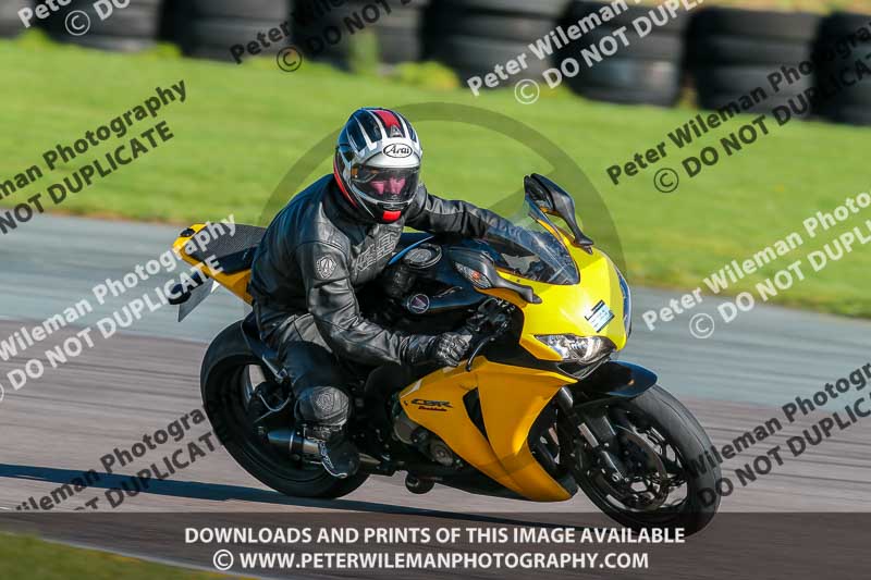 PJ Motorsport;anglesey no limits trackday;anglesey photographs;anglesey trackday photographs;enduro digital images;event digital images;eventdigitalimages;no limits trackdays;peter wileman photography;racing digital images;trac mon;trackday digital images;trackday photos;ty croes
