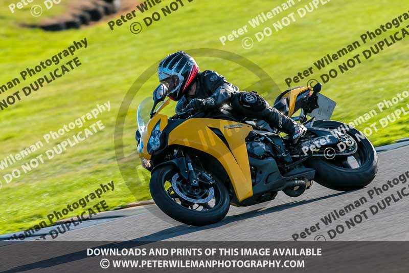 PJ Motorsport Photography 2018;anglesey no limits trackday;anglesey photographs;anglesey trackday photographs;enduro digital images;event digital images;eventdigitalimages;no limits trackdays;peter wileman photography;racing digital images;trac mon;trackday digital images;trackday photos;ty croes