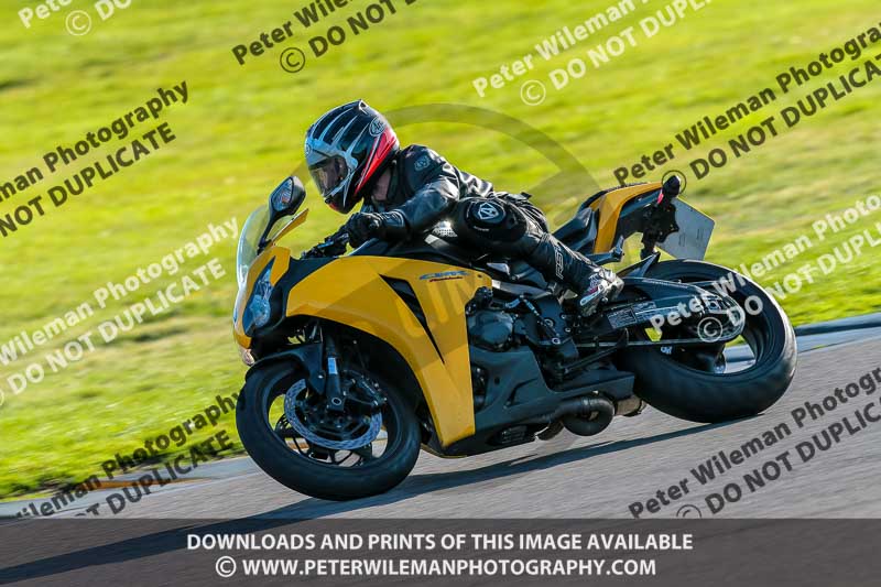 PJ Motorsport Photography 2018;anglesey no limits trackday;anglesey photographs;anglesey trackday photographs;enduro digital images;event digital images;eventdigitalimages;no limits trackdays;peter wileman photography;racing digital images;trac mon;trackday digital images;trackday photos;ty croes