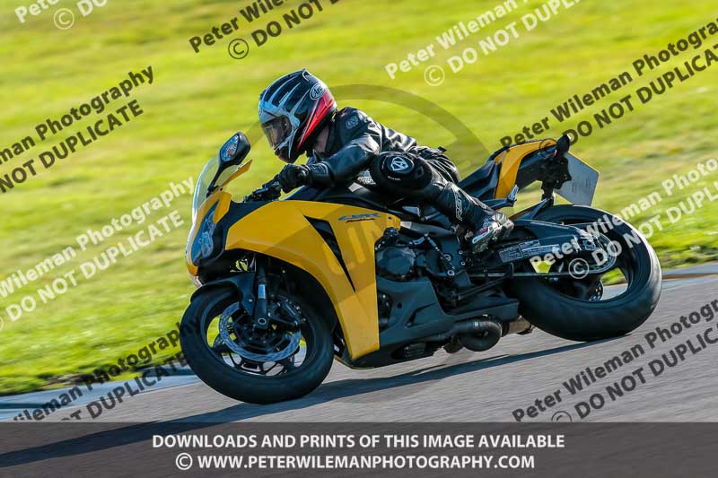 PJ Motorsport Photography 2018;anglesey no limits trackday;anglesey photographs;anglesey trackday photographs;enduro digital images;event digital images;eventdigitalimages;no limits trackdays;peter wileman photography;racing digital images;trac mon;trackday digital images;trackday photos;ty croes