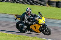 PJ-Motorsport;anglesey-no-limits-trackday;anglesey-photographs;anglesey-trackday-photographs;enduro-digital-images;event-digital-images;eventdigitalimages;no-limits-trackdays;peter-wileman-photography;racing-digital-images;trac-mon;trackday-digital-images;trackday-photos;ty-croes