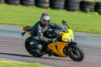 PJ-Motorsport;anglesey-no-limits-trackday;anglesey-photographs;anglesey-trackday-photographs;enduro-digital-images;event-digital-images;eventdigitalimages;no-limits-trackdays;peter-wileman-photography;racing-digital-images;trac-mon;trackday-digital-images;trackday-photos;ty-croes