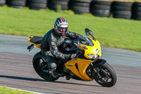 PJ-Motorsport;anglesey-no-limits-trackday;anglesey-photographs;anglesey-trackday-photographs;enduro-digital-images;event-digital-images;eventdigitalimages;no-limits-trackdays;peter-wileman-photography;racing-digital-images;trac-mon;trackday-digital-images;trackday-photos;ty-croes