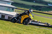 PJ-Motorsport-Photography-2018;anglesey-no-limits-trackday;anglesey-photographs;anglesey-trackday-photographs;enduro-digital-images;event-digital-images;eventdigitalimages;no-limits-trackdays;peter-wileman-photography;racing-digital-images;trac-mon;trackday-digital-images;trackday-photos;ty-croes
