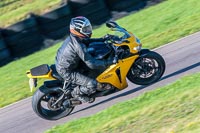PJ-Motorsport-Photography-2018;anglesey-no-limits-trackday;anglesey-photographs;anglesey-trackday-photographs;enduro-digital-images;event-digital-images;eventdigitalimages;no-limits-trackdays;peter-wileman-photography;racing-digital-images;trac-mon;trackday-digital-images;trackday-photos;ty-croes