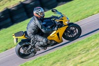 PJ-Motorsport-Photography-2018;anglesey-no-limits-trackday;anglesey-photographs;anglesey-trackday-photographs;enduro-digital-images;event-digital-images;eventdigitalimages;no-limits-trackdays;peter-wileman-photography;racing-digital-images;trac-mon;trackday-digital-images;trackday-photos;ty-croes