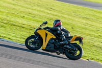 PJ-Motorsport-Photography-2018;anglesey-no-limits-trackday;anglesey-photographs;anglesey-trackday-photographs;enduro-digital-images;event-digital-images;eventdigitalimages;no-limits-trackdays;peter-wileman-photography;racing-digital-images;trac-mon;trackday-digital-images;trackday-photos;ty-croes