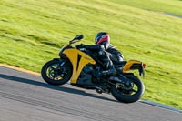 PJ-Motorsport-Photography-2018;anglesey-no-limits-trackday;anglesey-photographs;anglesey-trackday-photographs;enduro-digital-images;event-digital-images;eventdigitalimages;no-limits-trackdays;peter-wileman-photography;racing-digital-images;trac-mon;trackday-digital-images;trackday-photos;ty-croes