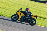 Lower Group Yellow Bikes