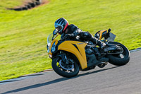 PJ-Motorsport-Photography-2018;anglesey-no-limits-trackday;anglesey-photographs;anglesey-trackday-photographs;enduro-digital-images;event-digital-images;eventdigitalimages;no-limits-trackdays;peter-wileman-photography;racing-digital-images;trac-mon;trackday-digital-images;trackday-photos;ty-croes