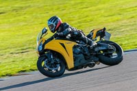 PJ-Motorsport-Photography-2018;anglesey-no-limits-trackday;anglesey-photographs;anglesey-trackday-photographs;enduro-digital-images;event-digital-images;eventdigitalimages;no-limits-trackdays;peter-wileman-photography;racing-digital-images;trac-mon;trackday-digital-images;trackday-photos;ty-croes