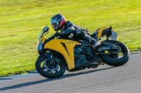 PJ-Motorsport-Photography-2018;anglesey-no-limits-trackday;anglesey-photographs;anglesey-trackday-photographs;enduro-digital-images;event-digital-images;eventdigitalimages;no-limits-trackdays;peter-wileman-photography;racing-digital-images;trac-mon;trackday-digital-images;trackday-photos;ty-croes