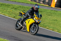 PJ-Motorsport-Photography-2018;anglesey-no-limits-trackday;anglesey-photographs;anglesey-trackday-photographs;enduro-digital-images;event-digital-images;eventdigitalimages;no-limits-trackdays;peter-wileman-photography;racing-digital-images;trac-mon;trackday-digital-images;trackday-photos;ty-croes