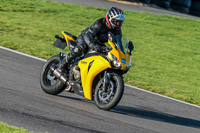 PJ-Motorsport-Photography-2018;anglesey-no-limits-trackday;anglesey-photographs;anglesey-trackday-photographs;enduro-digital-images;event-digital-images;eventdigitalimages;no-limits-trackdays;peter-wileman-photography;racing-digital-images;trac-mon;trackday-digital-images;trackday-photos;ty-croes