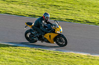 PJ-Motorsport-Photography-2018;anglesey-no-limits-trackday;anglesey-photographs;anglesey-trackday-photographs;enduro-digital-images;event-digital-images;eventdigitalimages;no-limits-trackdays;peter-wileman-photography;racing-digital-images;trac-mon;trackday-digital-images;trackday-photos;ty-croes