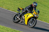 PJ-Motorsport-Photography-2018;anglesey-no-limits-trackday;anglesey-photographs;anglesey-trackday-photographs;enduro-digital-images;event-digital-images;eventdigitalimages;no-limits-trackdays;peter-wileman-photography;racing-digital-images;trac-mon;trackday-digital-images;trackday-photos;ty-croes