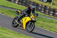PJ-Motorsport-Photography-2018;anglesey-no-limits-trackday;anglesey-photographs;anglesey-trackday-photographs;enduro-digital-images;event-digital-images;eventdigitalimages;no-limits-trackdays;peter-wileman-photography;racing-digital-images;trac-mon;trackday-digital-images;trackday-photos;ty-croes