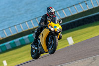 PJ-Motorsport-Photography-2018;anglesey-no-limits-trackday;anglesey-photographs;anglesey-trackday-photographs;enduro-digital-images;event-digital-images;eventdigitalimages;no-limits-trackdays;peter-wileman-photography;racing-digital-images;trac-mon;trackday-digital-images;trackday-photos;ty-croes