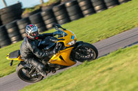 PJ-Motorsport-Photography-2018;anglesey-no-limits-trackday;anglesey-photographs;anglesey-trackday-photographs;enduro-digital-images;event-digital-images;eventdigitalimages;no-limits-trackdays;peter-wileman-photography;racing-digital-images;trac-mon;trackday-digital-images;trackday-photos;ty-croes