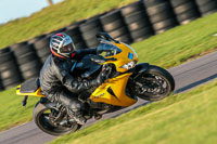 PJ-Motorsport-Photography-2018;anglesey-no-limits-trackday;anglesey-photographs;anglesey-trackday-photographs;enduro-digital-images;event-digital-images;eventdigitalimages;no-limits-trackdays;peter-wileman-photography;racing-digital-images;trac-mon;trackday-digital-images;trackday-photos;ty-croes
