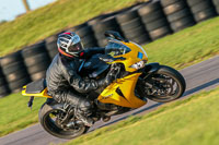 PJ-Motorsport-Photography-2018;anglesey-no-limits-trackday;anglesey-photographs;anglesey-trackday-photographs;enduro-digital-images;event-digital-images;eventdigitalimages;no-limits-trackdays;peter-wileman-photography;racing-digital-images;trac-mon;trackday-digital-images;trackday-photos;ty-croes