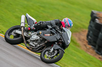 PJ-Motorsport;anglesey-no-limits-trackday;anglesey-photographs;anglesey-trackday-photographs;enduro-digital-images;event-digital-images;eventdigitalimages;no-limits-trackdays;peter-wileman-photography;racing-digital-images;trac-mon;trackday-digital-images;trackday-photos;ty-croes