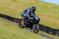 PJ-Motorsport-Photography-2018;anglesey-no-limits-trackday;anglesey-photographs;anglesey-trackday-photographs;enduro-digital-images;event-digital-images;eventdigitalimages;no-limits-trackdays;peter-wileman-photography;racing-digital-images;trac-mon;trackday-digital-images;trackday-photos;ty-croes