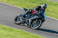 PJ-Motorsport-Photography-2018;anglesey-no-limits-trackday;anglesey-photographs;anglesey-trackday-photographs;enduro-digital-images;event-digital-images;eventdigitalimages;no-limits-trackdays;peter-wileman-photography;racing-digital-images;trac-mon;trackday-digital-images;trackday-photos;ty-croes