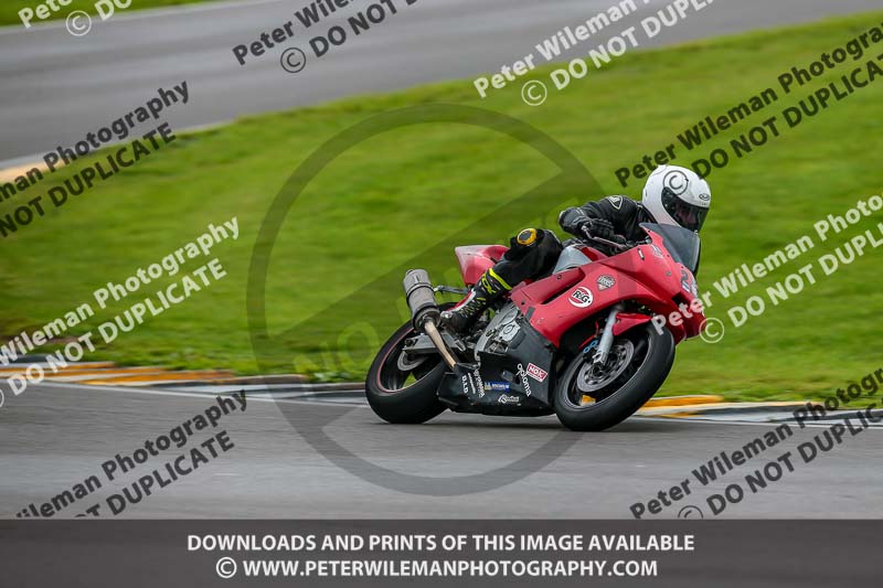PJ Motorsport;anglesey no limits trackday;anglesey photographs;anglesey trackday photographs;enduro digital images;event digital images;eventdigitalimages;no limits trackdays;peter wileman photography;racing digital images;trac mon;trackday digital images;trackday photos;ty croes