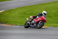 PJ-Motorsport;anglesey-no-limits-trackday;anglesey-photographs;anglesey-trackday-photographs;enduro-digital-images;event-digital-images;eventdigitalimages;no-limits-trackdays;peter-wileman-photography;racing-digital-images;trac-mon;trackday-digital-images;trackday-photos;ty-croes