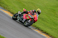 PJ-Motorsport;anglesey-no-limits-trackday;anglesey-photographs;anglesey-trackday-photographs;enduro-digital-images;event-digital-images;eventdigitalimages;no-limits-trackdays;peter-wileman-photography;racing-digital-images;trac-mon;trackday-digital-images;trackday-photos;ty-croes