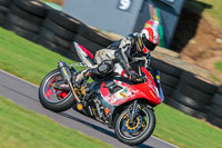 PJ-Motorsport-Photography-2018;anglesey-no-limits-trackday;anglesey-photographs;anglesey-trackday-photographs;enduro-digital-images;event-digital-images;eventdigitalimages;no-limits-trackdays;peter-wileman-photography;racing-digital-images;trac-mon;trackday-digital-images;trackday-photos;ty-croes