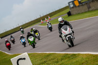 PJ-Motorsport;anglesey-no-limits-trackday;anglesey-photographs;anglesey-trackday-photographs;enduro-digital-images;event-digital-images;eventdigitalimages;no-limits-trackdays;peter-wileman-photography;racing-digital-images;trac-mon;trackday-digital-images;trackday-photos;ty-croes