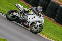 Middle  Group White Bikes