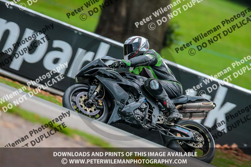 PJ Motorsport Photography;anglesey;brands hatch;cadwell park;croft;donington park;enduro digital images;event digital images;eventdigitalimages;mallory;no limits;oulton park;peter wileman photography;racing digital images;silverstone;snetterton;trackday digital images;trackday photos;vmcc banbury run;welsh 2 day enduro
