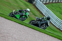 PJ-Motorsport-Photography-2018;anglesey;brands-hatch;cadwell-park;croft;donington-park;enduro-digital-images;event-digital-images;eventdigitalimages;mallory;no-limits;oulton-park;peter-wileman-photography;racing-digital-images;silverstone;snetterton;trackday-digital-images;trackday-photos;vmcc-banbury-run;welsh-2-day-enduro